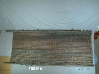 藏品(魚簾)的圖片